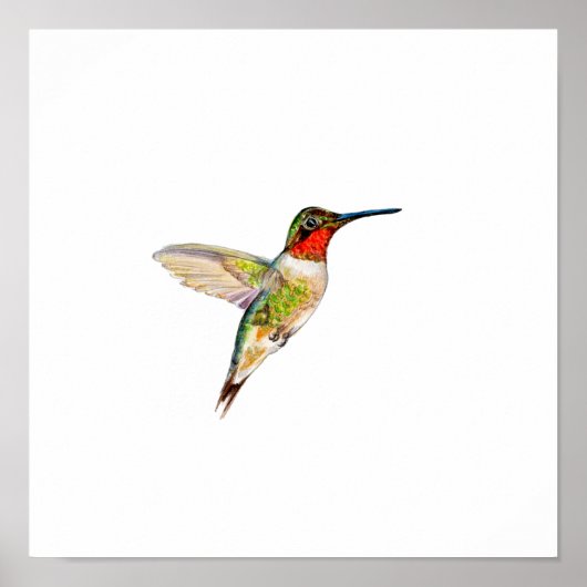 Watercolor Ruby Keel Kolibrie Schilderij Poster (Voorkant)