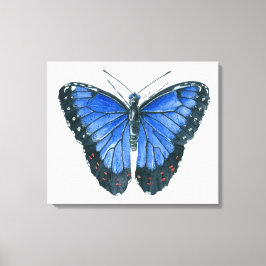 Watercolor schilderij van blauwe Morpho vlinder Canvas Afdruk