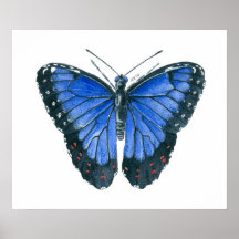Watercolor schilderij van blauwe Morpho vlinder