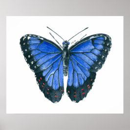 Watercolor schilderij van blauwe Morpho vlinder Poster