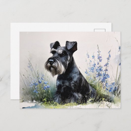 Watercolor Schnauzer Briefkaart (Voorkant / Achterkant)