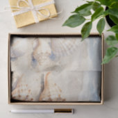 Watercolor Seashells Beach Scene Tissuepapier (Geschenk)