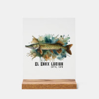 Watercolor Serie: Snoek