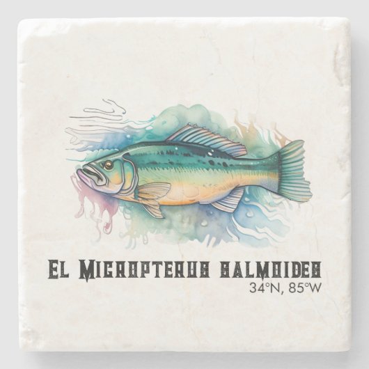 Watercolor Series: Bass Stenen Onderzetter (Voorkant)