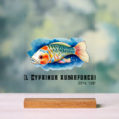 Watercolor Series: Koi Fish Acryl Bord (Neutraal)