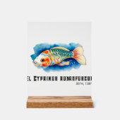 Watercolor Series: Koi Fish Acryl Bord (Voorkant)