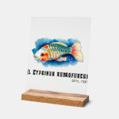 Watercolor Series: Koi Fish Acryl Bord (Hoek)