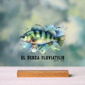 Watercolor Series: Perch Acryl Bord (Neutraal)