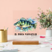 Watercolor Series: Perch Acryl Bord (Huwelijk)