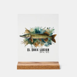 Watercolor Series: Pike Acryl Bord