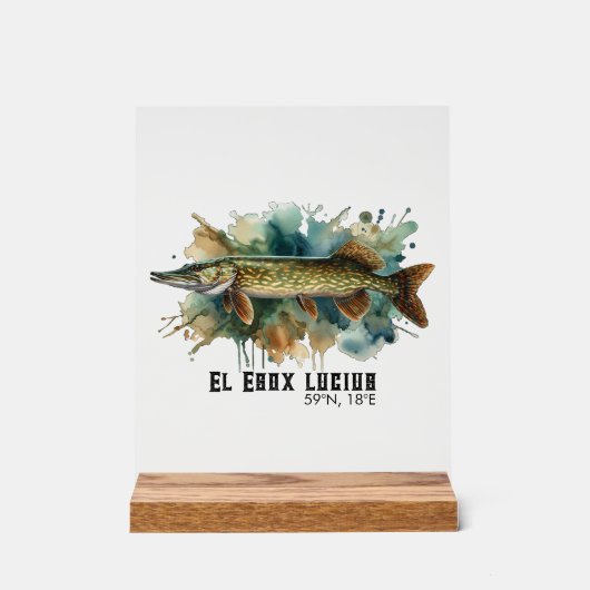 Watercolor Series: Pike Acryl Bord (Voorkant)