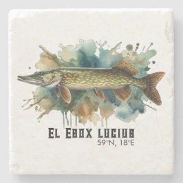 Watercolor Series: Pike Stenen Onderzetter