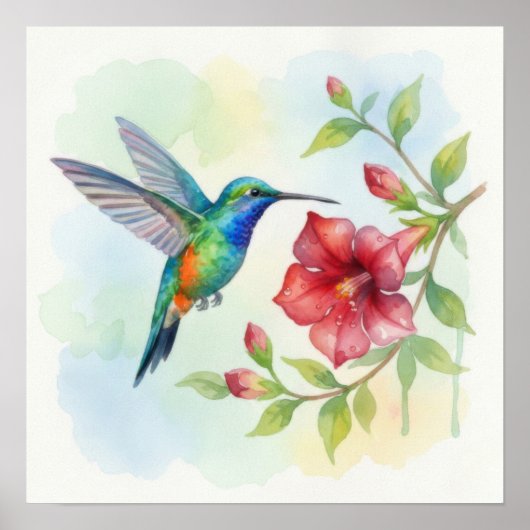 Watercolor Small Hummingbird Poster (Voorkant)