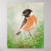 Watercolor Stonechat Bird  Nature Art Poster (Voorkant)