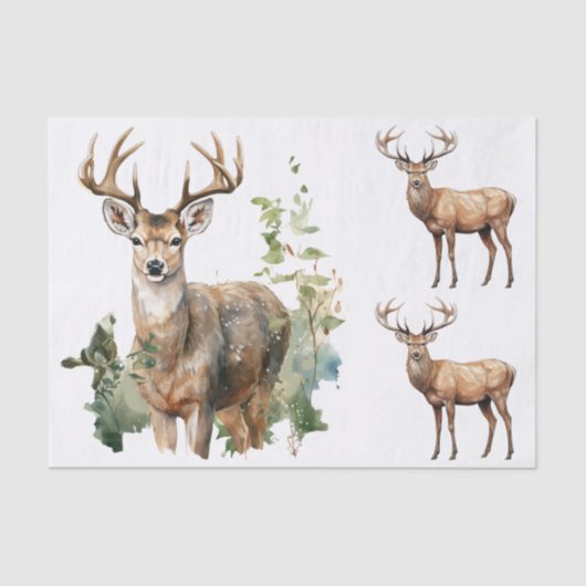 Watercolor Style Illustrations - 3 Male Deer Bucks Tissuepapier (Voorkant)