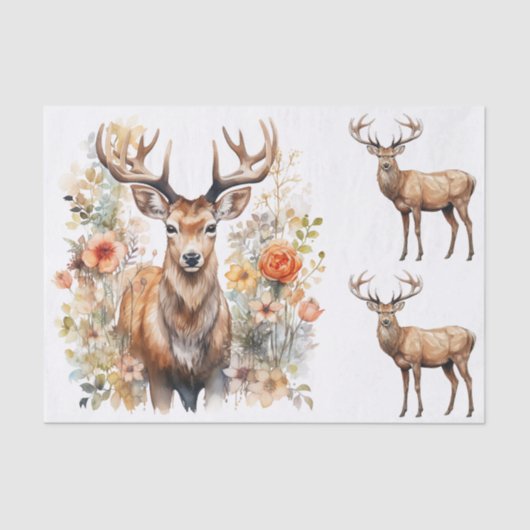 Watercolor Style Illustrations of Male Deer Bucks Tissuepapier (Voorkant)