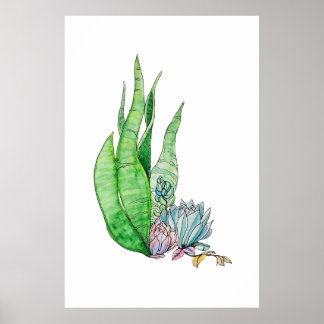 Watercolor Succulenten Botanisch Groen Poster