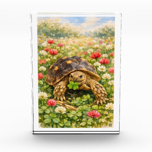 Watercolor Sulcata Tortoise with lucky clover Fotoblokken (Voorkant)