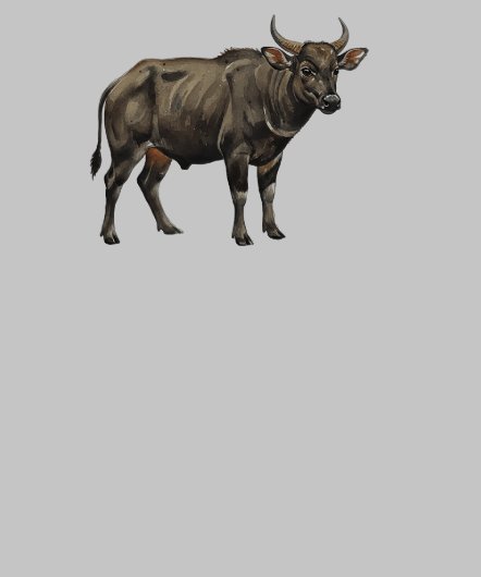 Watercolor Water Buffalo Illustration (Hem)