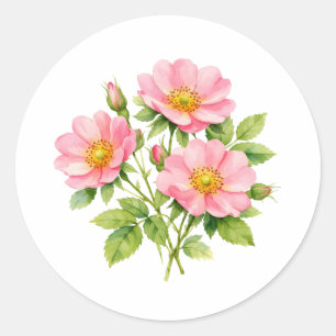 Watercolor Wilde Roze Rozen  Ronde Sticker