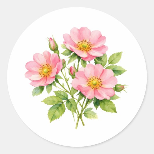 Watercolor Wilde Roze Rozen  Ronde Sticker (Voorkant)