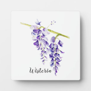 Watercolor Wisteria Botanisch Fotoplaat