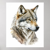 Watercolor wolf portret kunst poster (Voorkant)