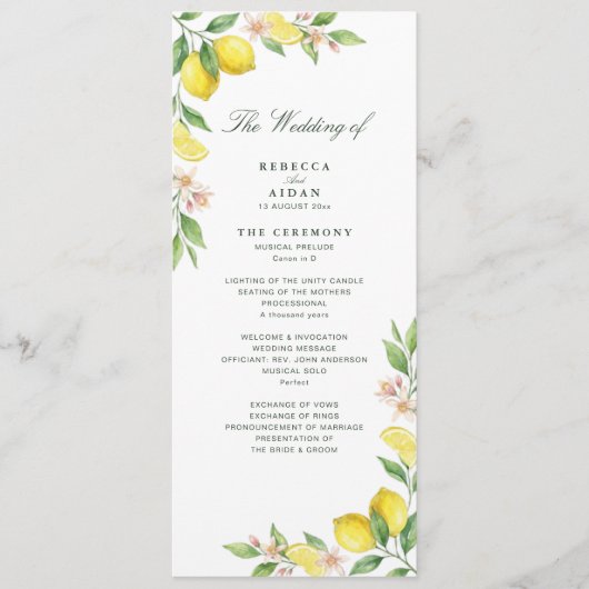Watercolor Wreath Mediterranean Citrus Wedding Programmakaart (Voorkant)