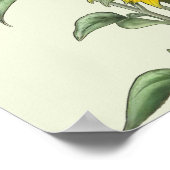 Watercolor Zonnebloem Poster (Hoek)