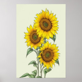 Watercolor Zonnebloem Poster