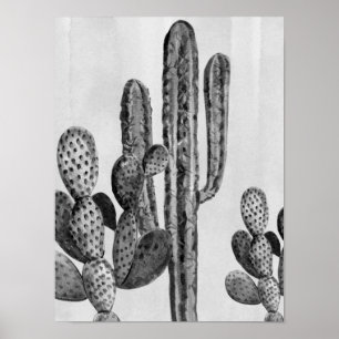 Watercolor Zwart wit Cactus Zuidwesten Poster