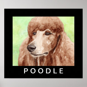Watercolorpoedel Poster