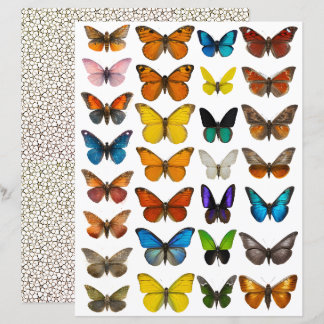 WatercolorVlinder set voor fussy cut