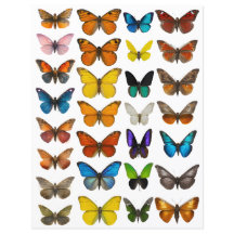 WatercolorVlinder set voor fussy cut