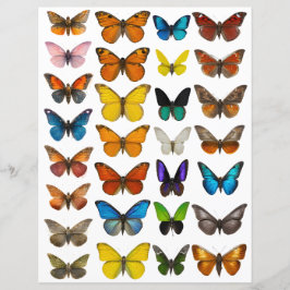 WatercolorVlinder set voor fussy cut