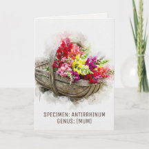 Watercolour Blooms | Snapdragon Witty Moederdag