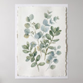 Watercolour Eucalyptus Botanische Kunstprint Poster (Voorkant)