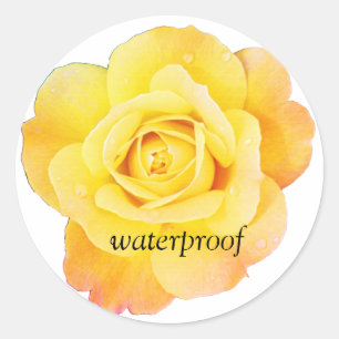 Waterdichte spatvrije gele roos bloemige bruiloft ronde sticker