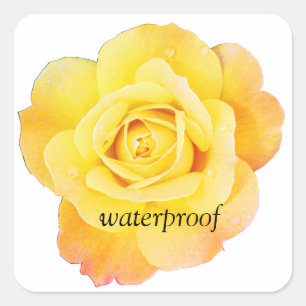 Waterdichte spatvrije gele roos bloemige bruiloft vierkante sticker