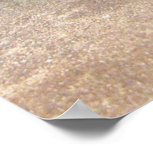 Waterdraak Poster (Hoek)