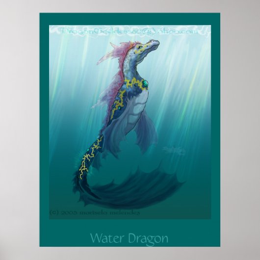 Waterdraak Poster (Voorkant)