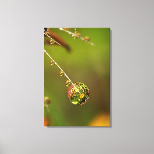 Waterdruppel Close-up Canvas Afdruk (Voorkant)