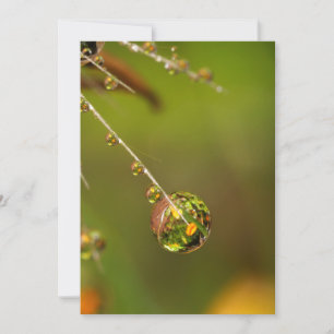 Waterdruppel Close-up Kaart
