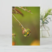 Waterdruppel Close-up Kaart (Staand voorkant)