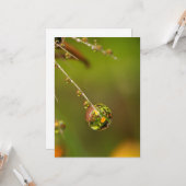 Waterdruppel Close-up Kaart (Voorkant / Achterkant in situ)