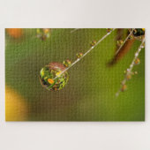 Waterdruppel Close-up Legpuzzel (Horizontaal)