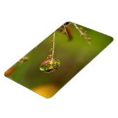 Waterdruppel dicht magneet (Linkerzijde)