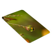 Waterdruppel dicht magneet (Rechterzijde)