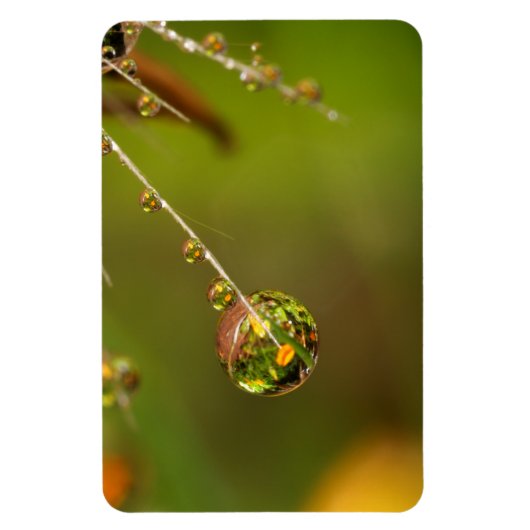 Waterdruppel dicht magneet (Verticaal)