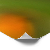 Waterdruppel dicht poster (Hoek)